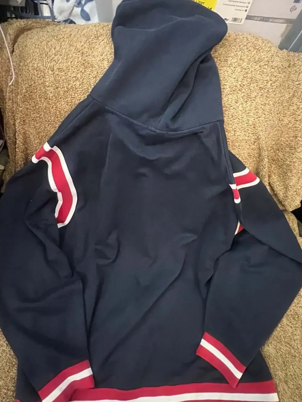 Polo Ralph Lauren Script Logo Hoodie Sweatshirt